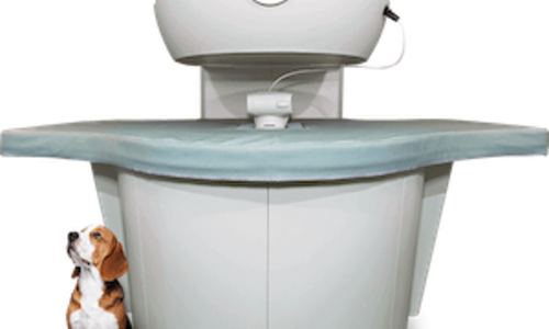 Veterinary MRI Systems